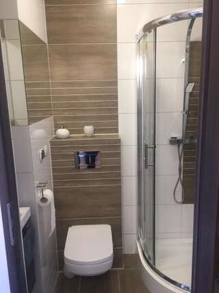 Апартаменты Apartament w Polanicy Поляница-Здруй-5